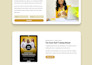 setup your podia online course website
